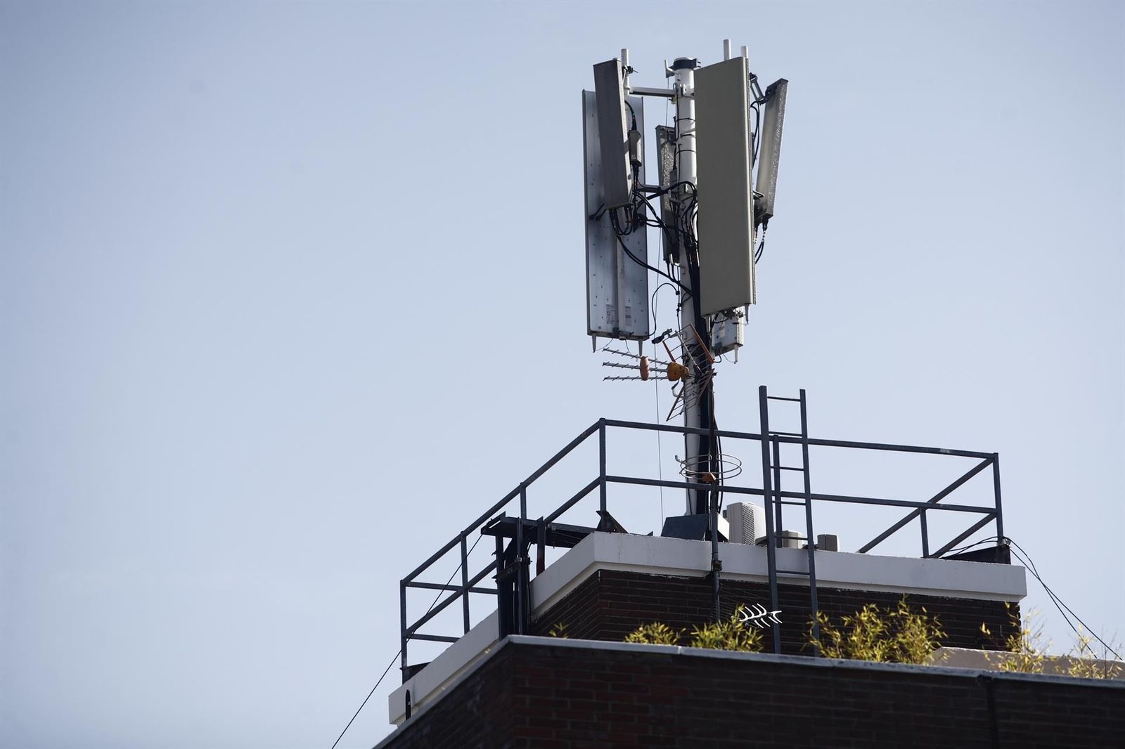 Imagen de una antena de telefonía. Foto EP