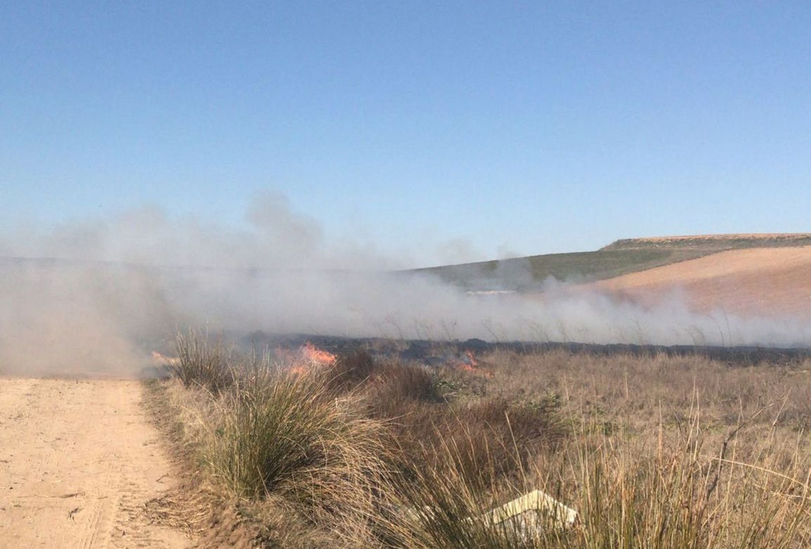 Incendio en Benegiles. Infocyl