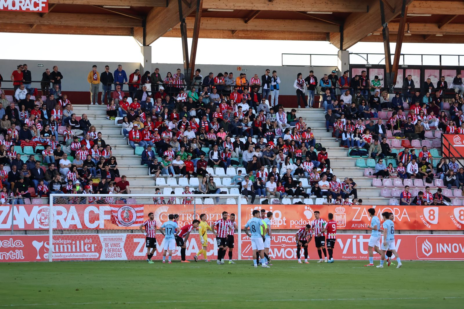 Zamora CF - Celta Fortuna
