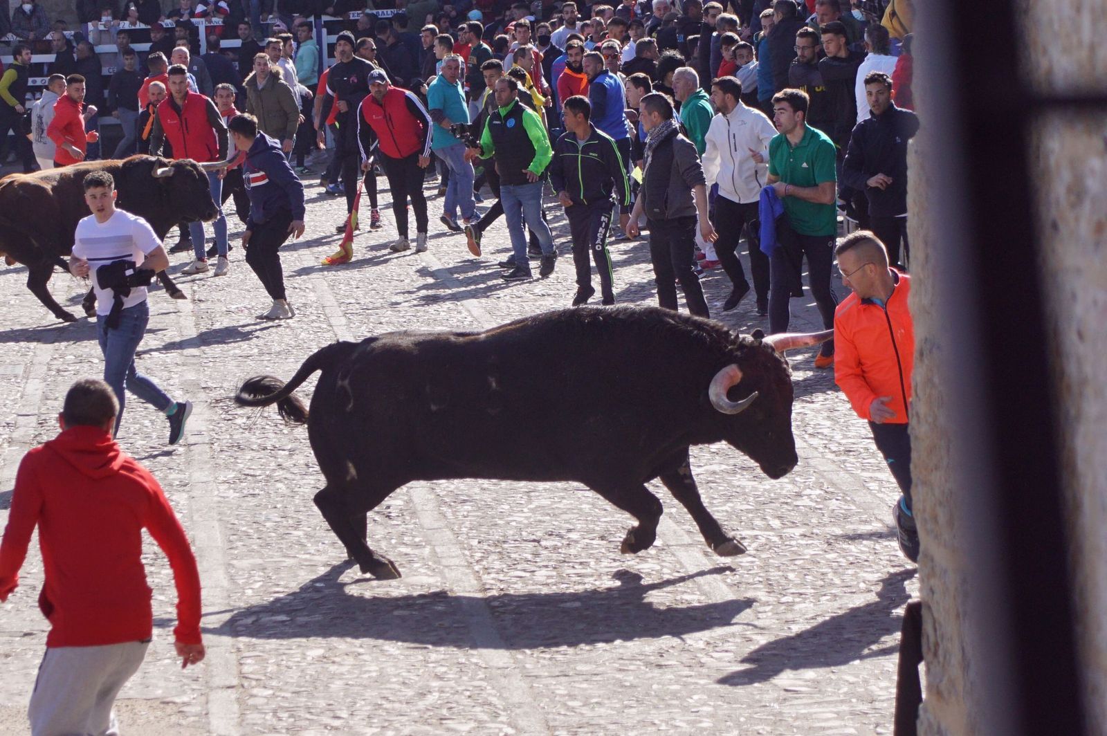 encierro-capea-y-ambiente-en-ciudad-rodrigo-en-este-lunes-de-carnaval-48