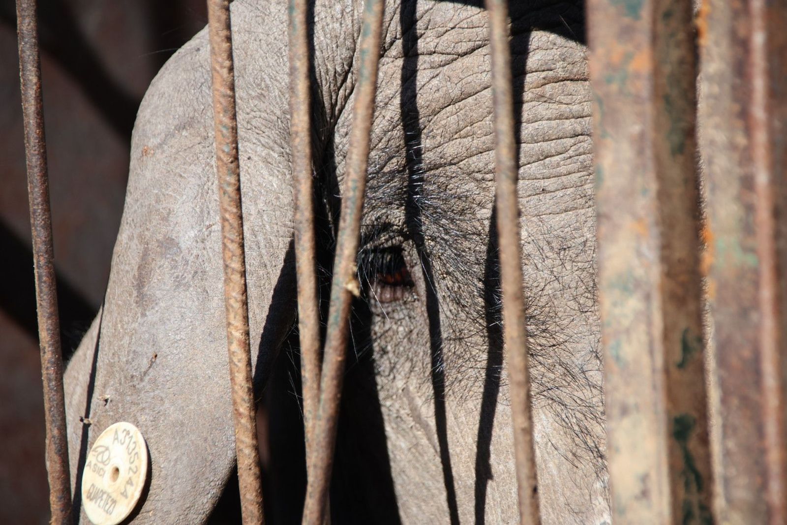 20240217123554-img-6827