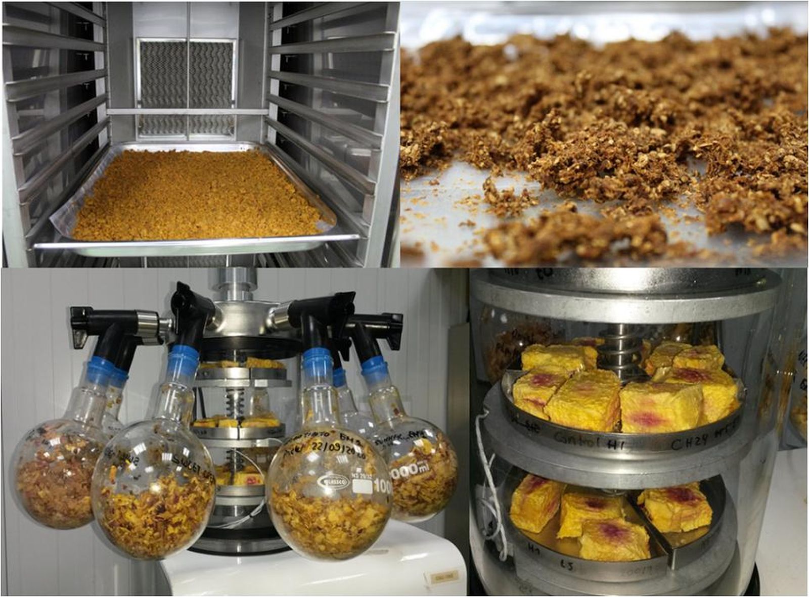 Apuesta por la investigación en alimentos sin gluten para mejorar la calidad de vida de las personas con alergias e intolerancias alimentarias