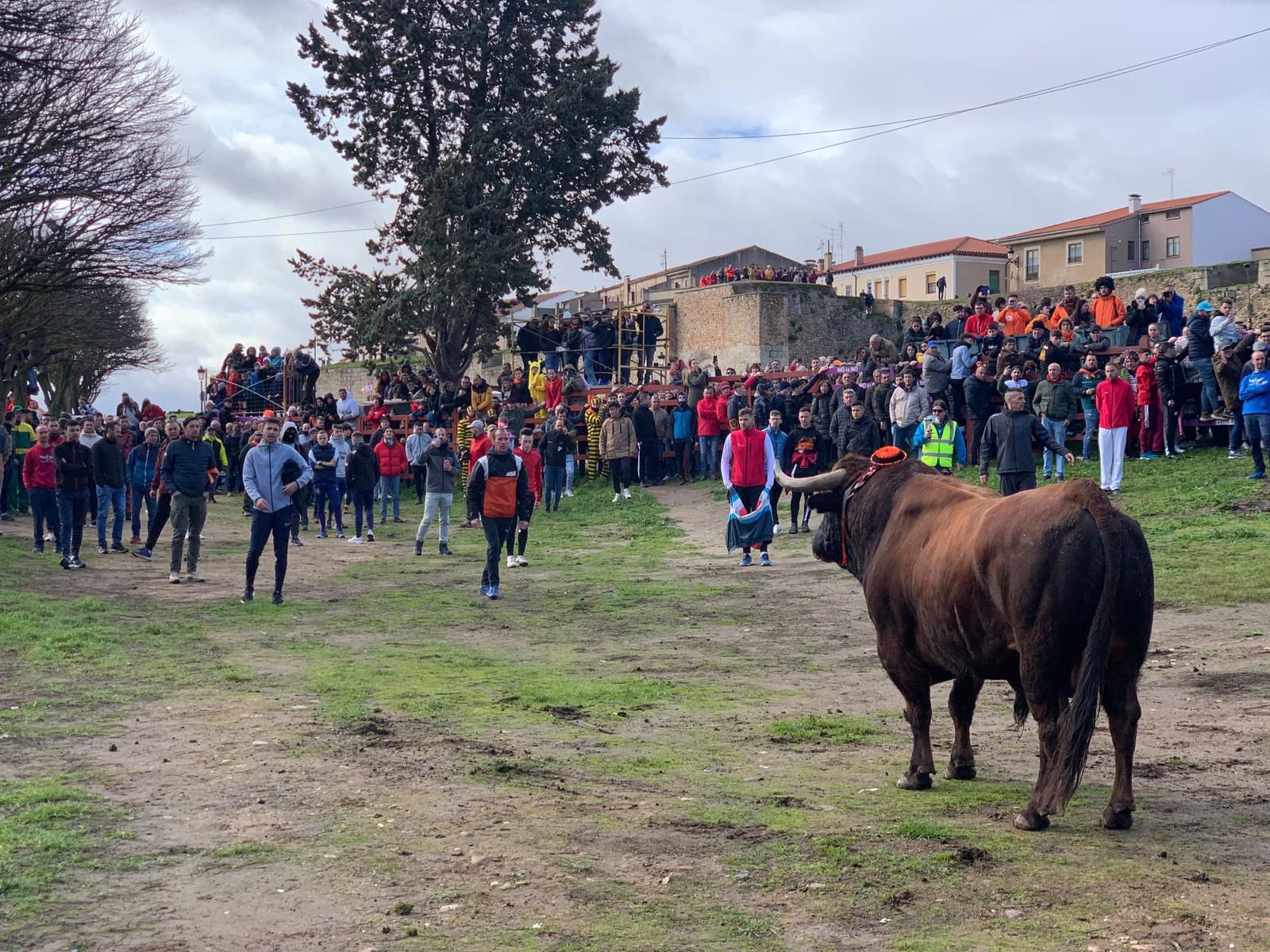 whatsapp-image-2024-02-10-at-11-36-10