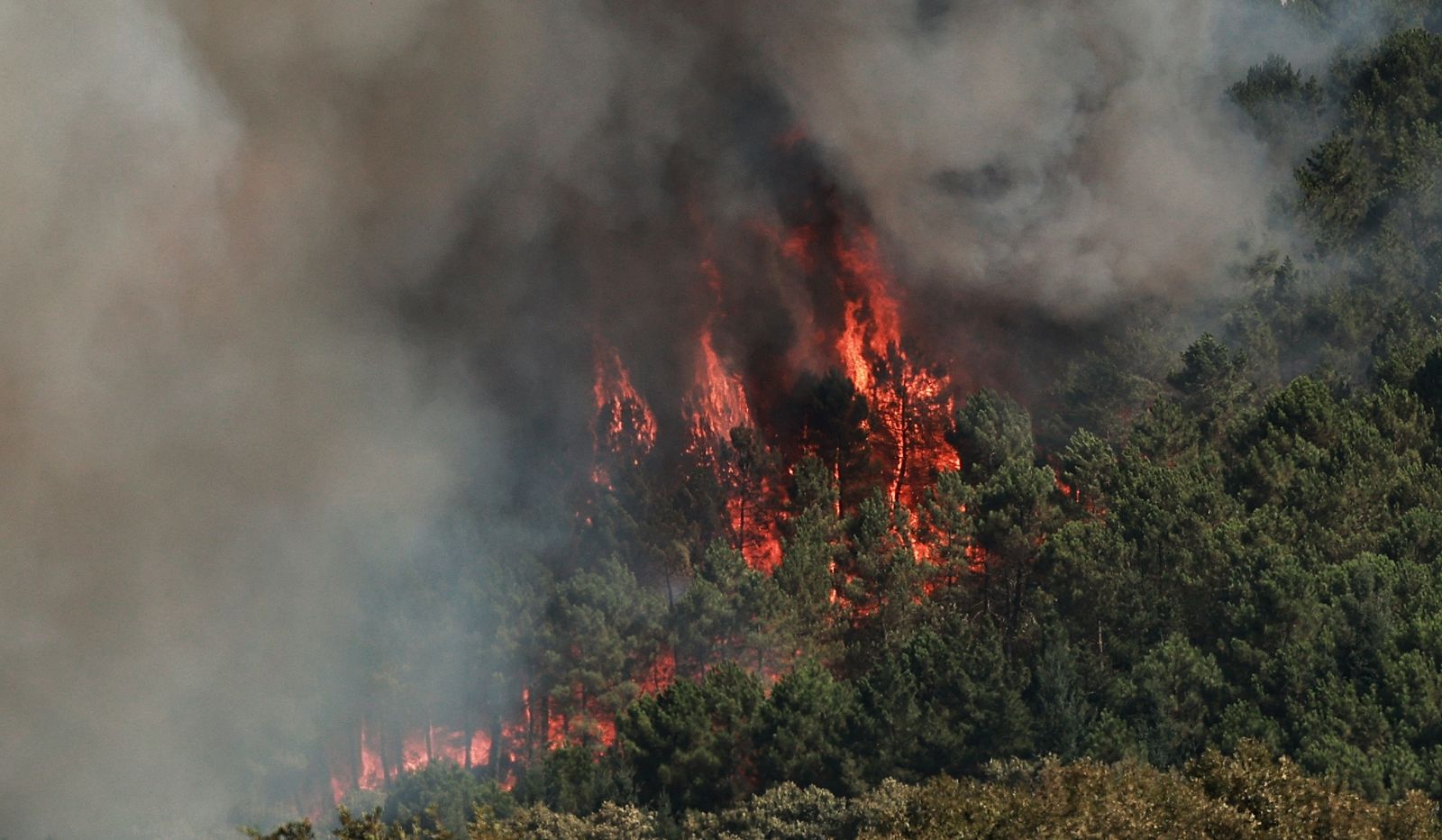 Incendio forestal en El Payo. Fotos ICAL Jose Vicente  (14).jpg
