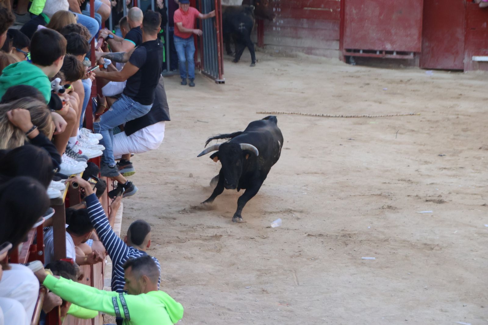 Encierro en Aldeadávila