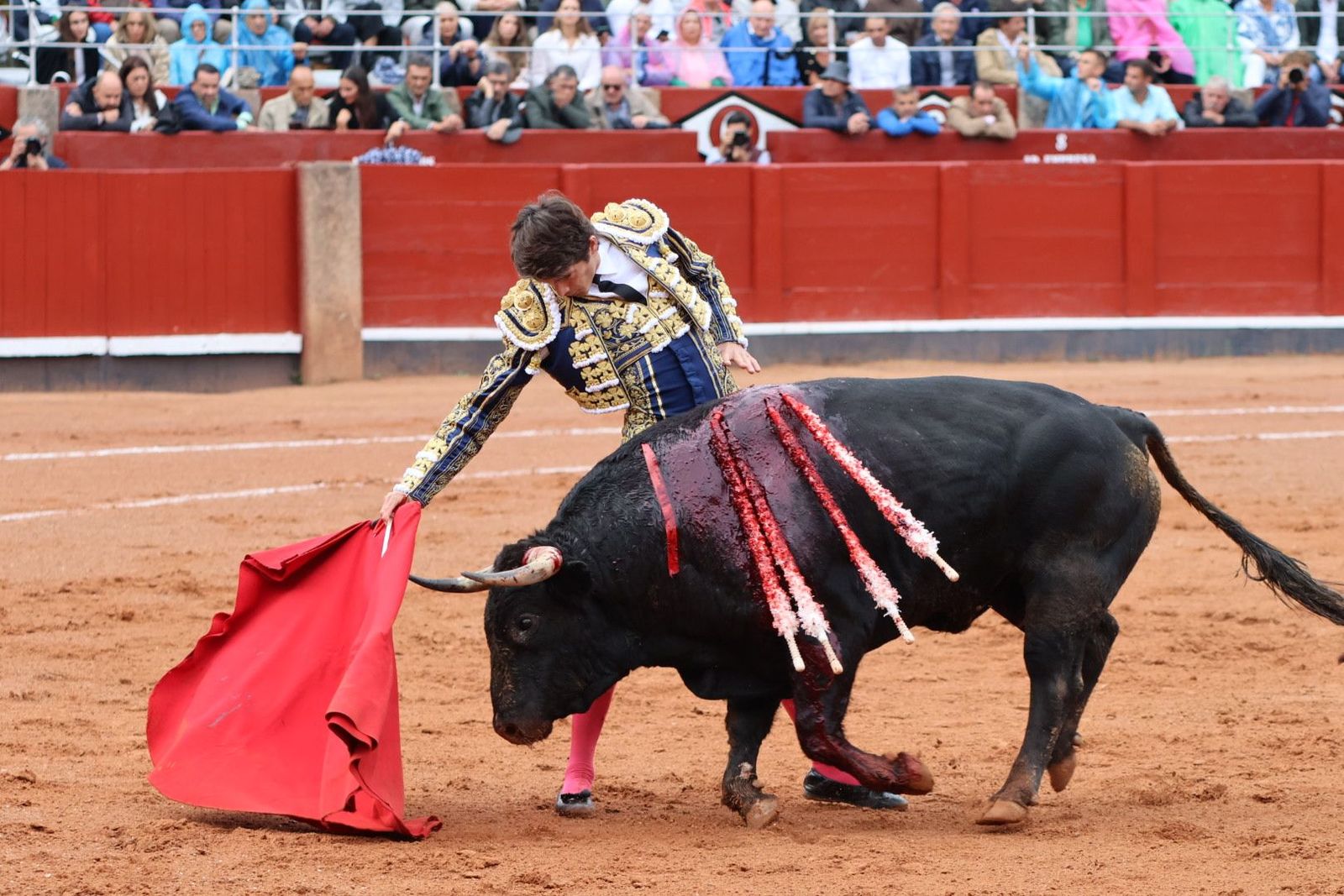 20230916172047-img-5245