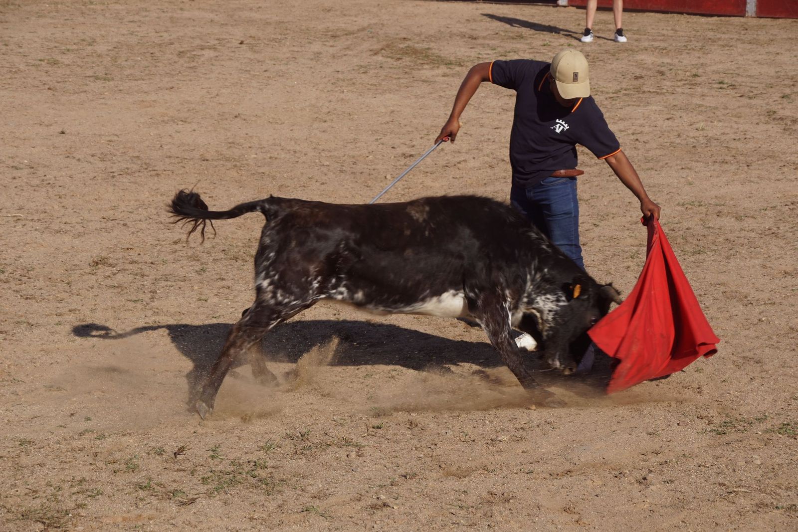 capea-fiestas-de-carrascal-de-barregas-12