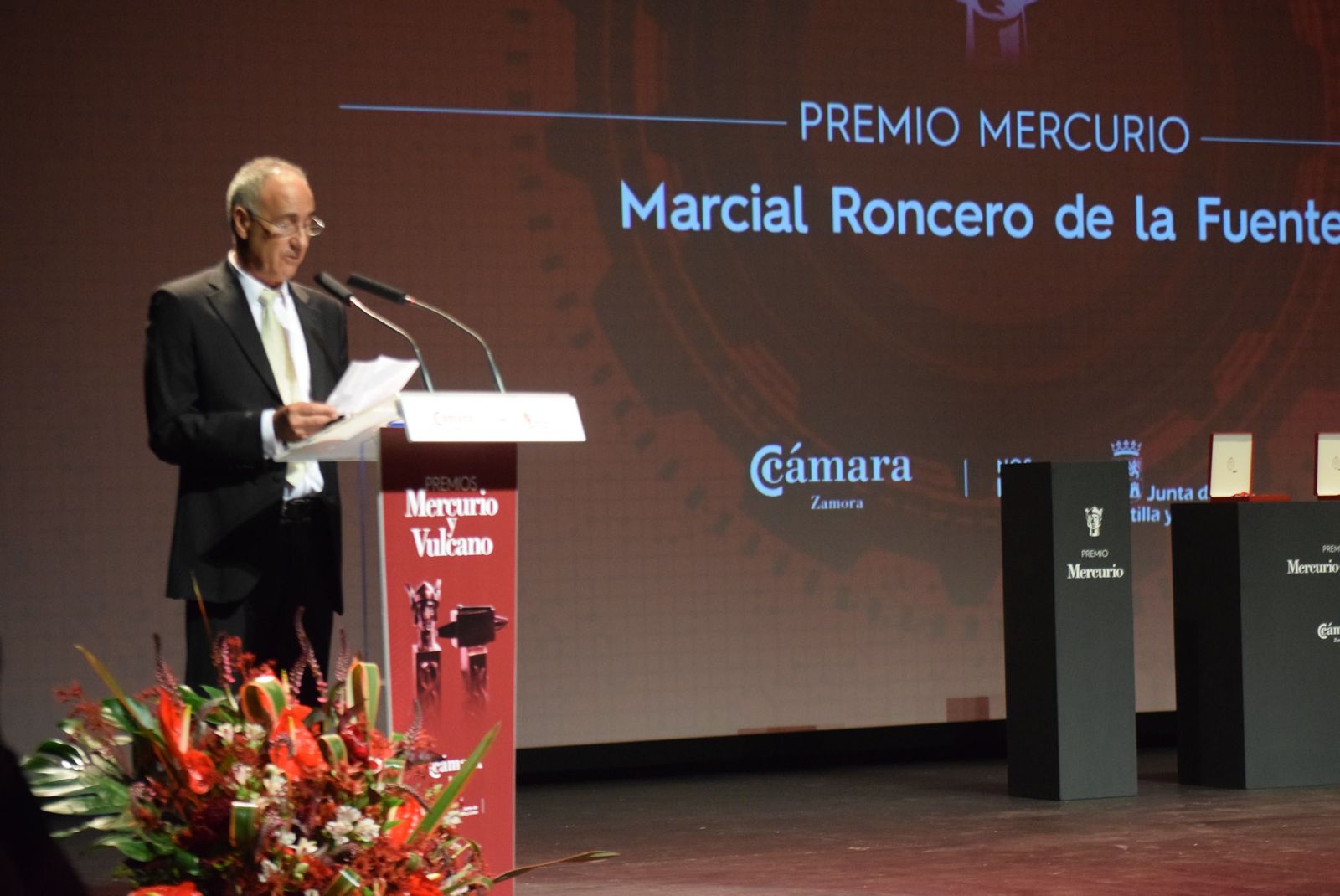 37 Edición Premios Mercurio y Vulcano (8).JPG