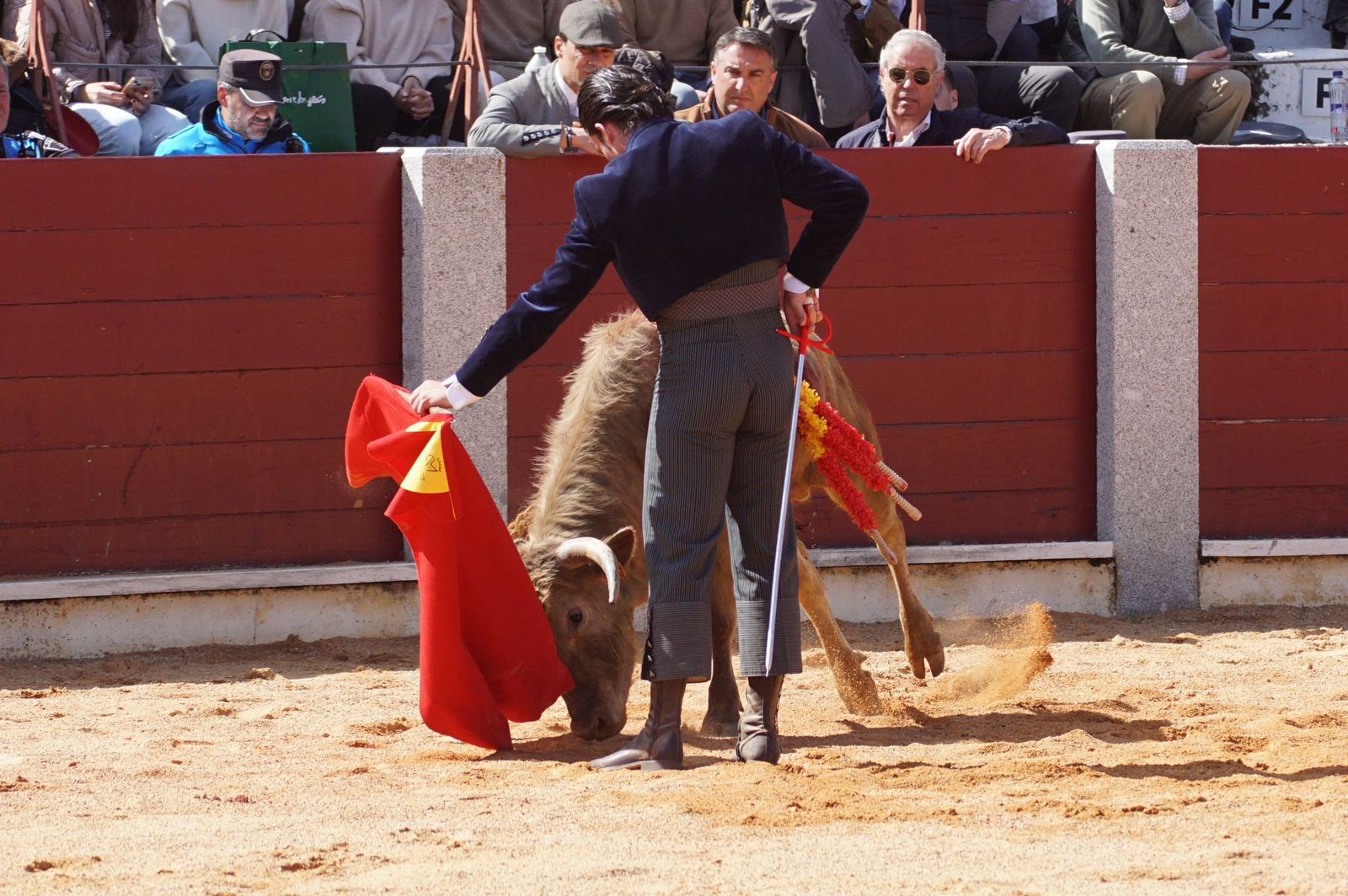 Festival taurino solidario por la esclerosis múltiple en Guijuelo