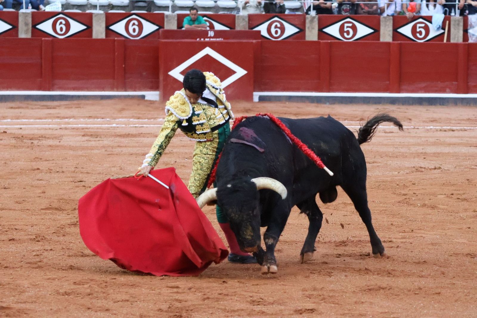 20230915192353-img-4352