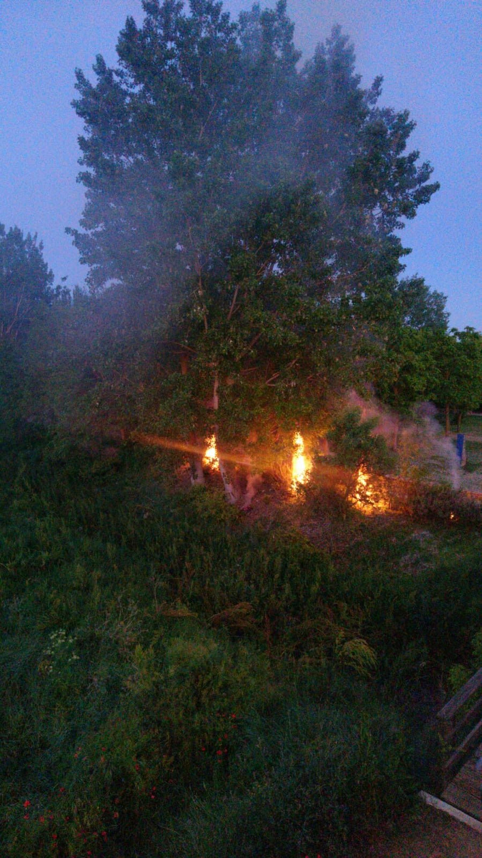 WhatsApp Image 2020 05 19 at 22.03.56