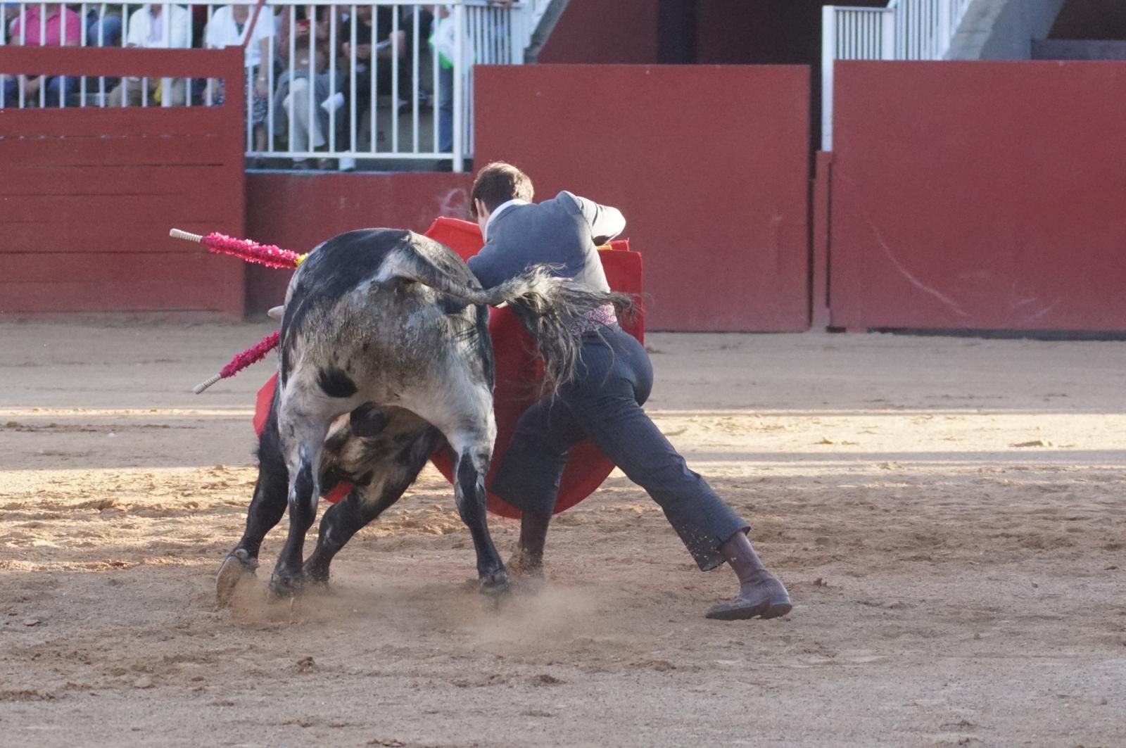 whatsapp-image-2024-09-07-at-20-49-07