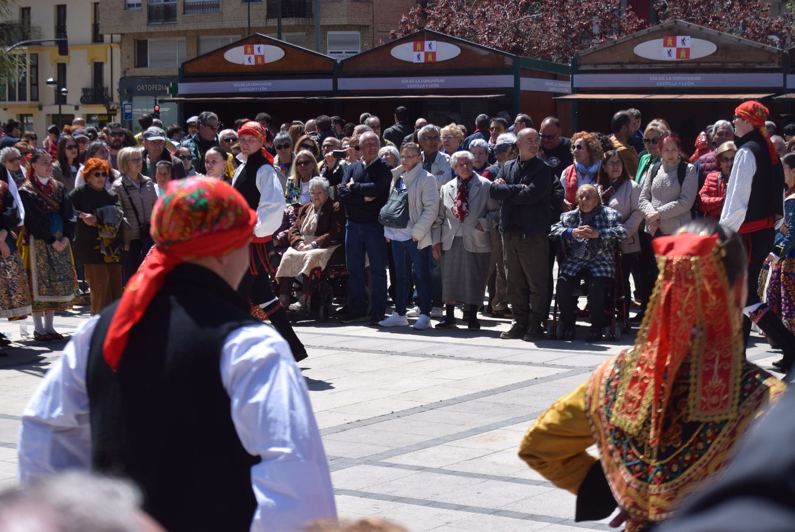 actuacion-dona-urraca-en-la-marina-7