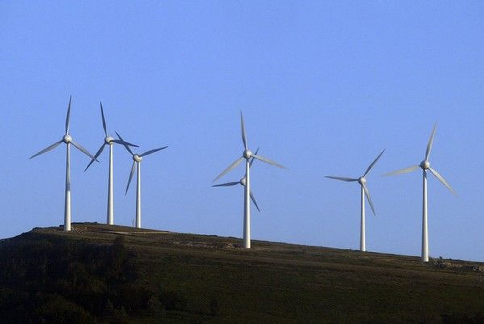 Turbinas eólicas. Eduardo Margareto. Archivo.