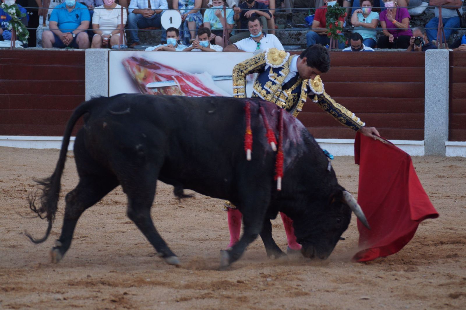 toros-en-guijuelo-15-de-agosto-51
