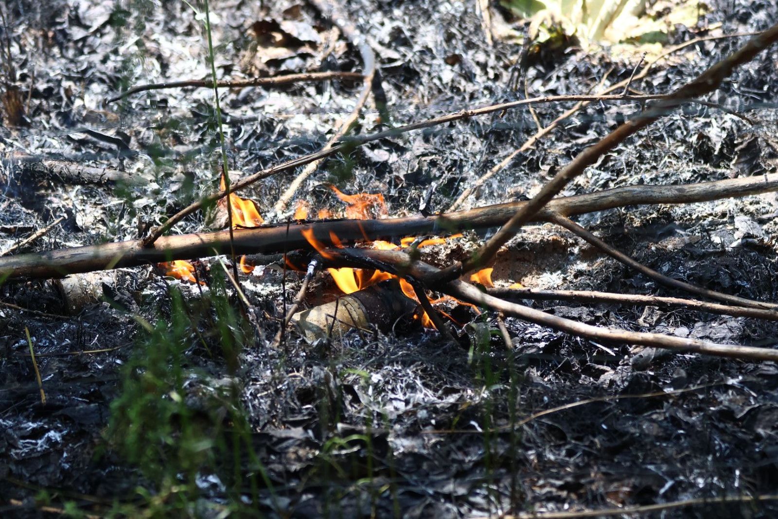 Incendio en Valverdón