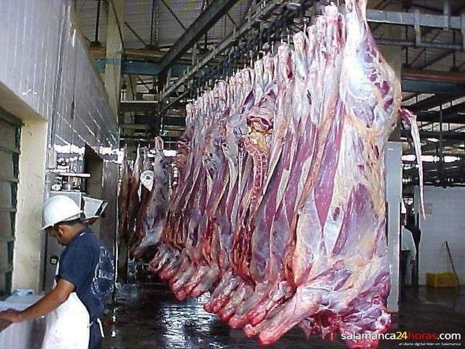 Principio de acuerdo para el nuevo convenio de la industria cárnica