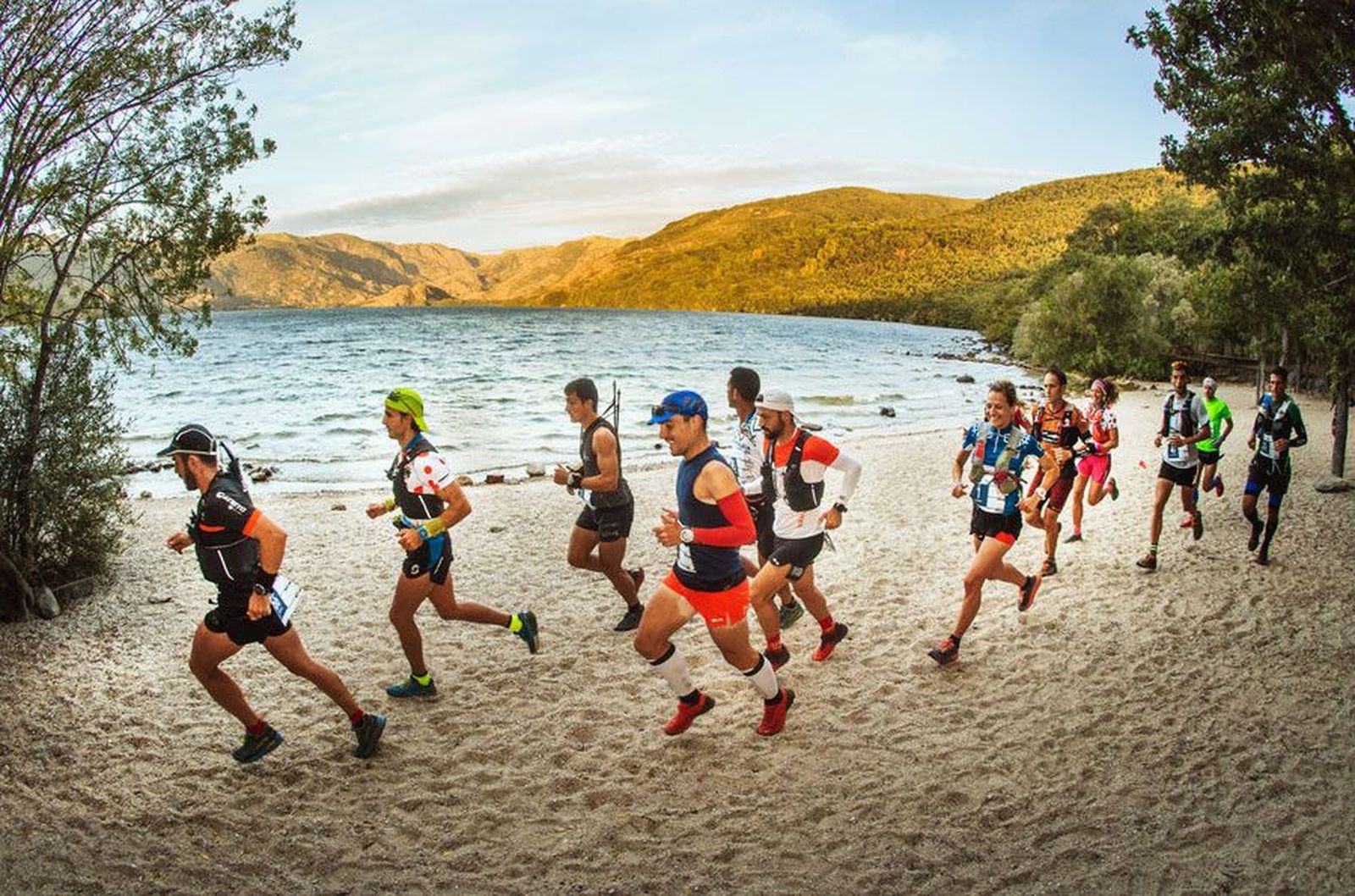 Ultra sanabria tratada