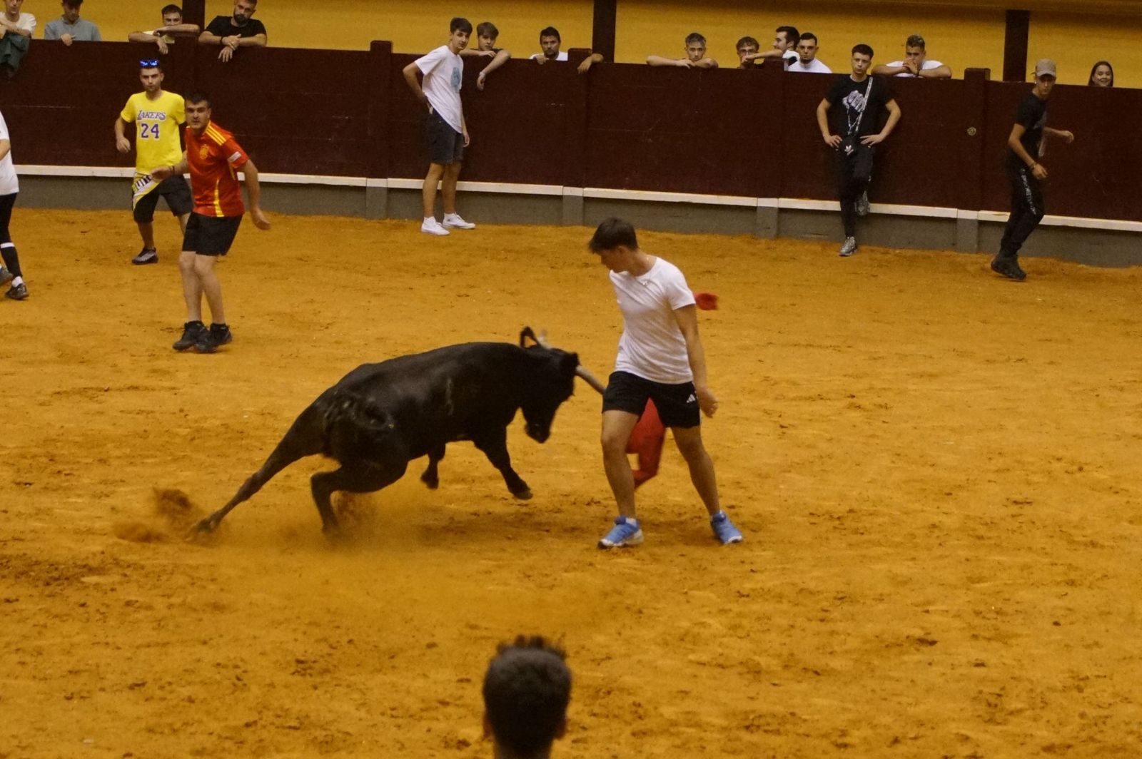 Multitudinario encierro nocturno en Alba de Tormes
