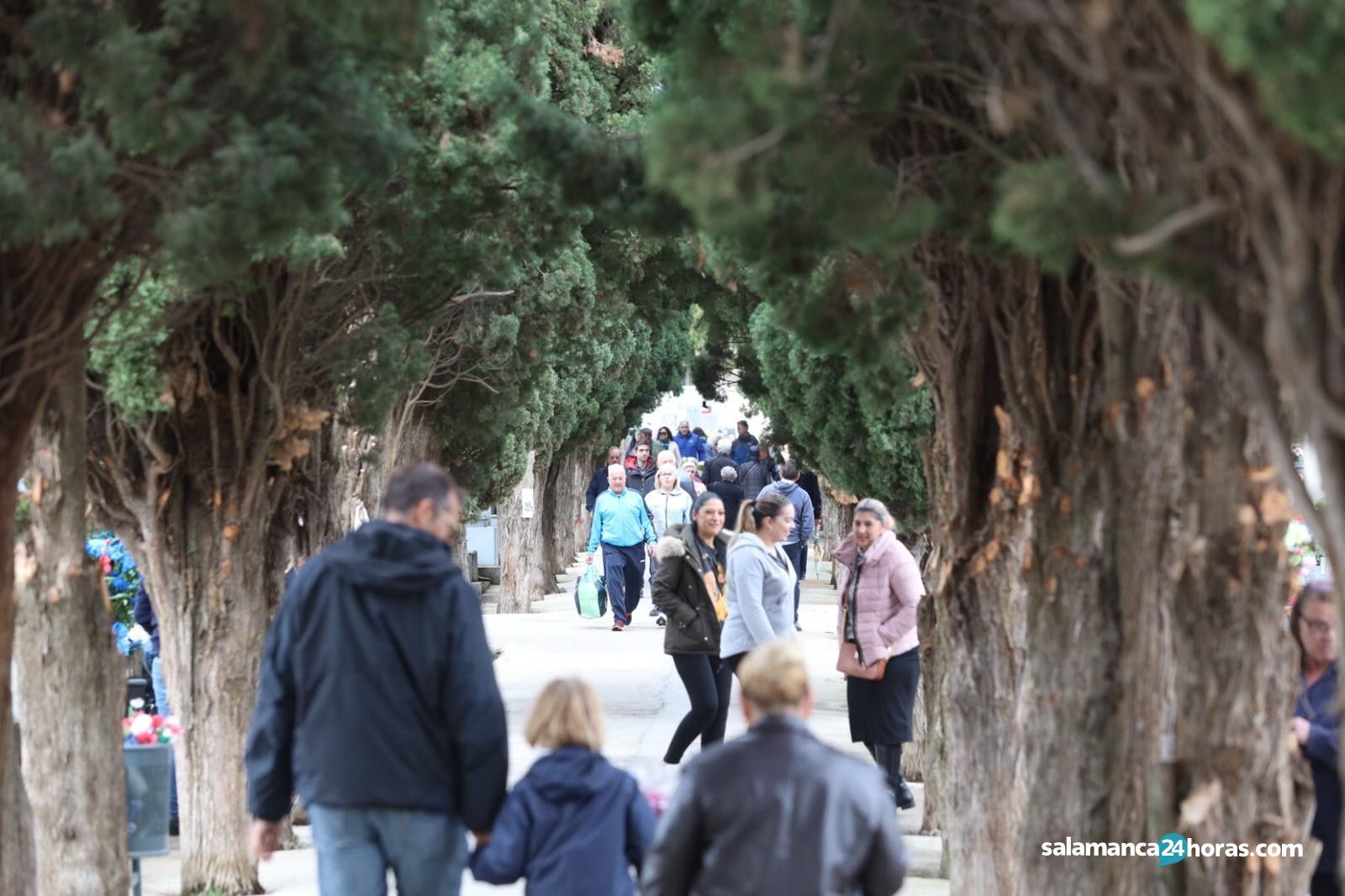 Cementerio Día 1 Noviembre (22)