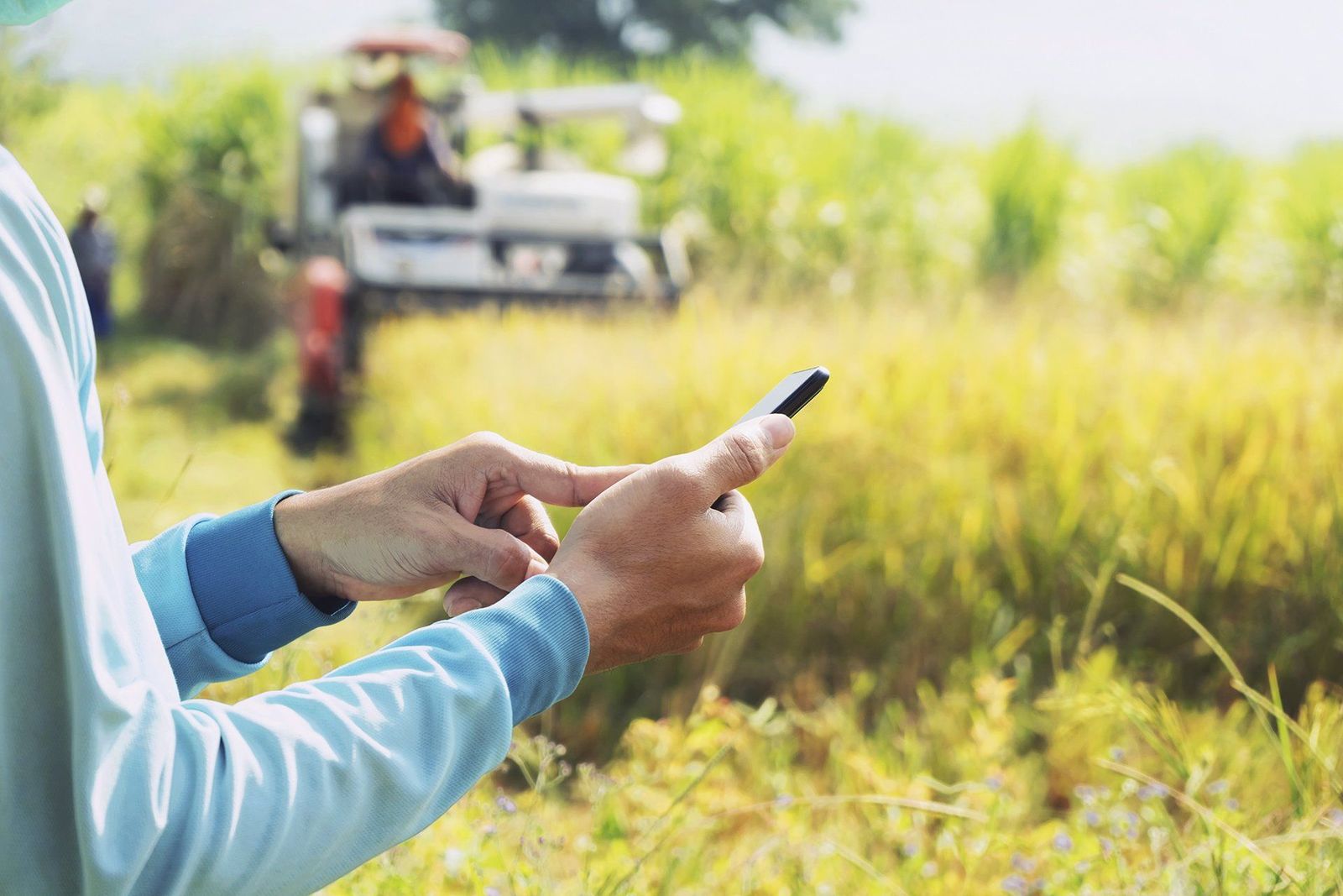 Un usuario utilizando su smartphone en el campo | Foto: EP
