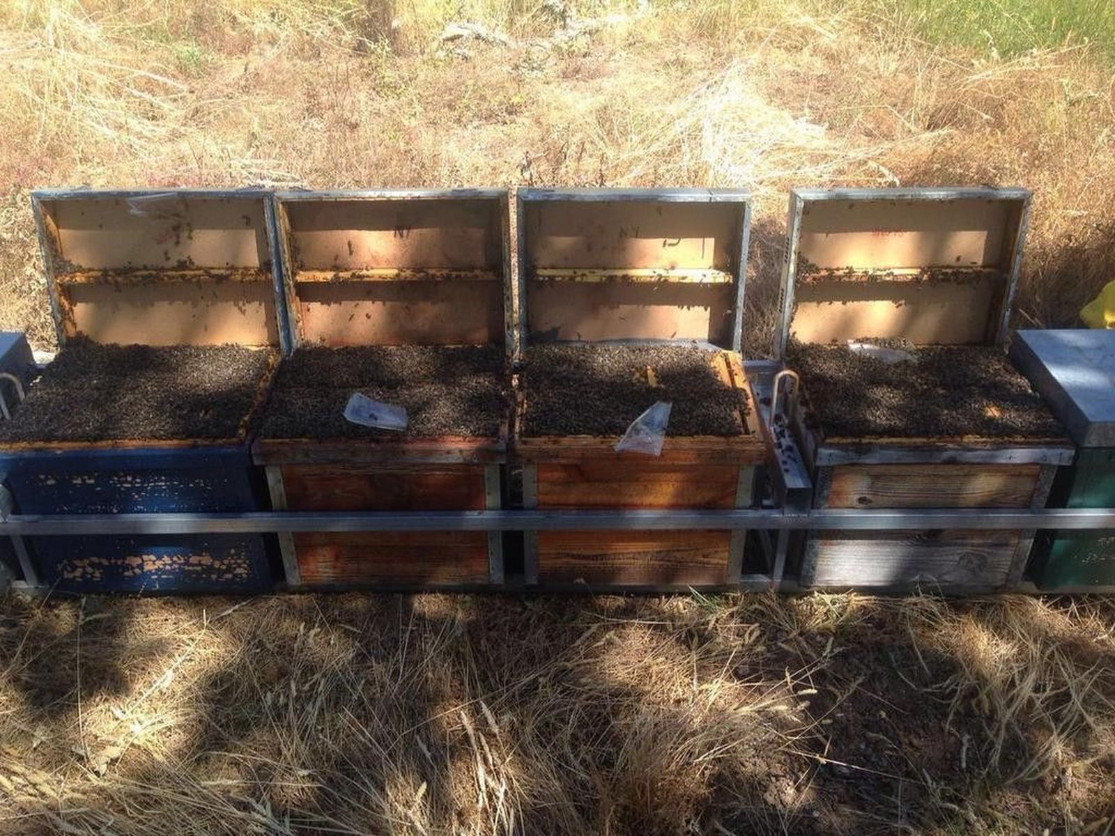 "Esto es una barbaridad"