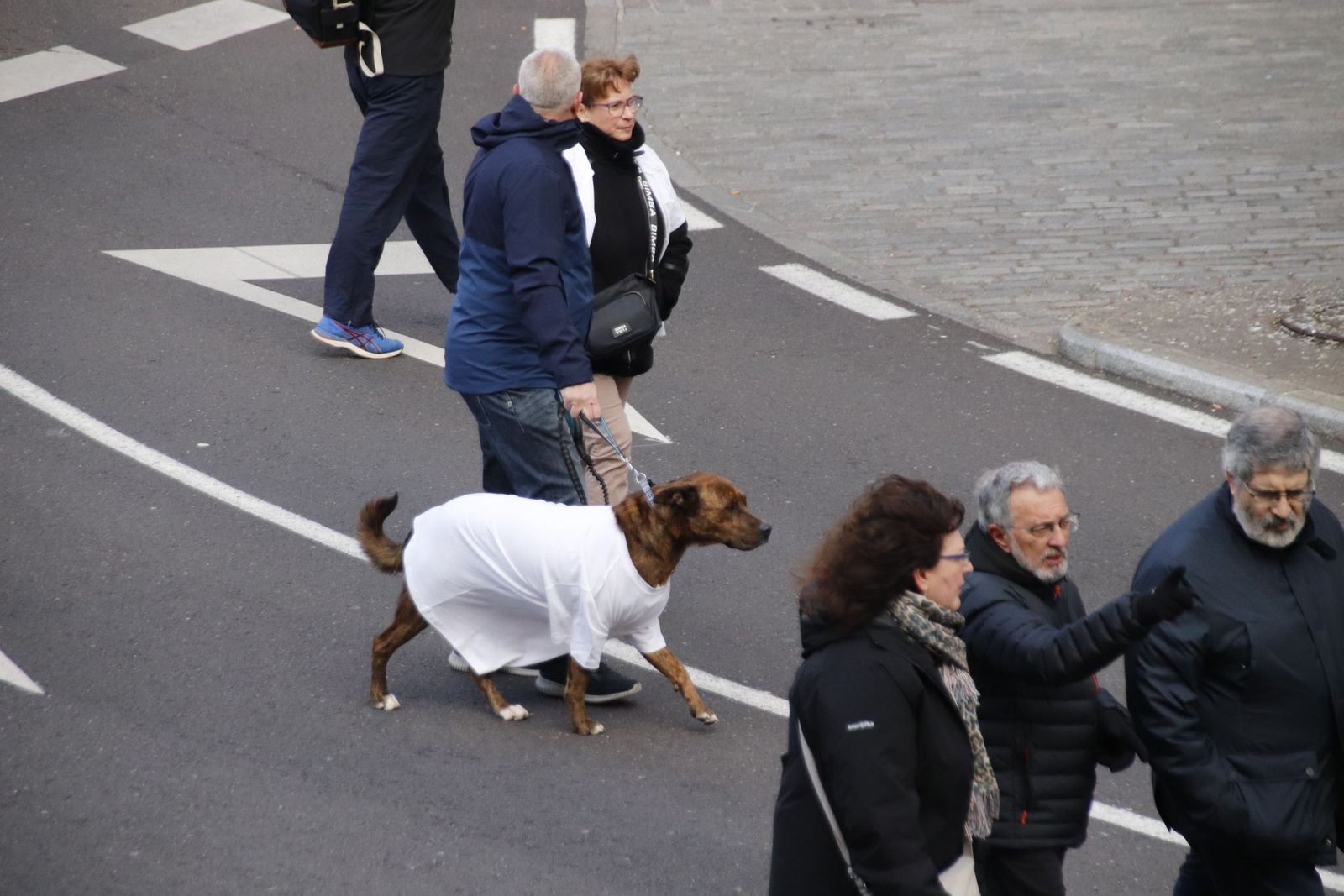 20230129125148-mg-3618