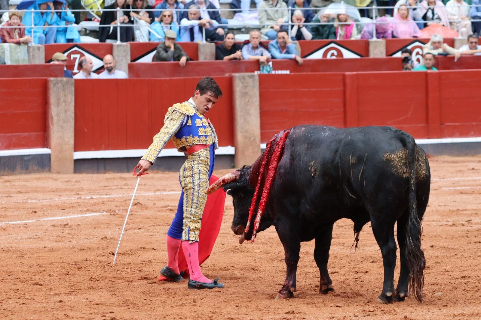 20230915174736-img-3993