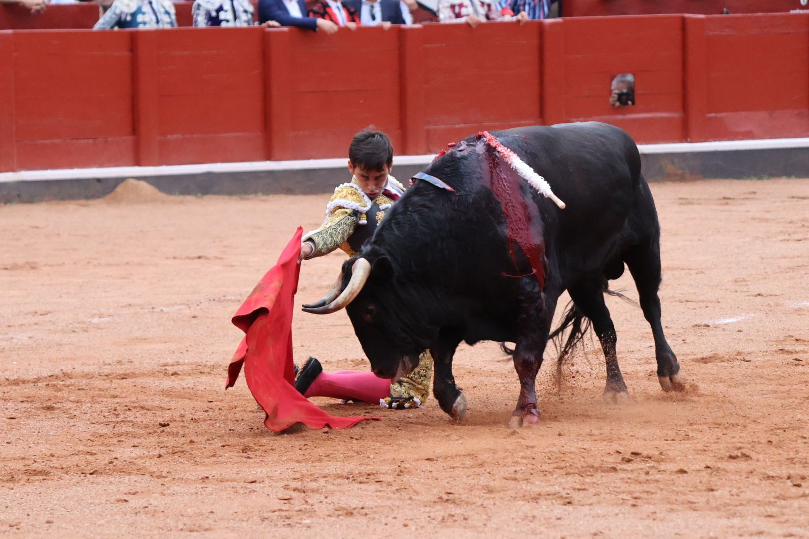 Ismael Martín, Marco Pérez y el aclamado regreso de Morante de la Puebla: su paso por La Glorieta en imágenes