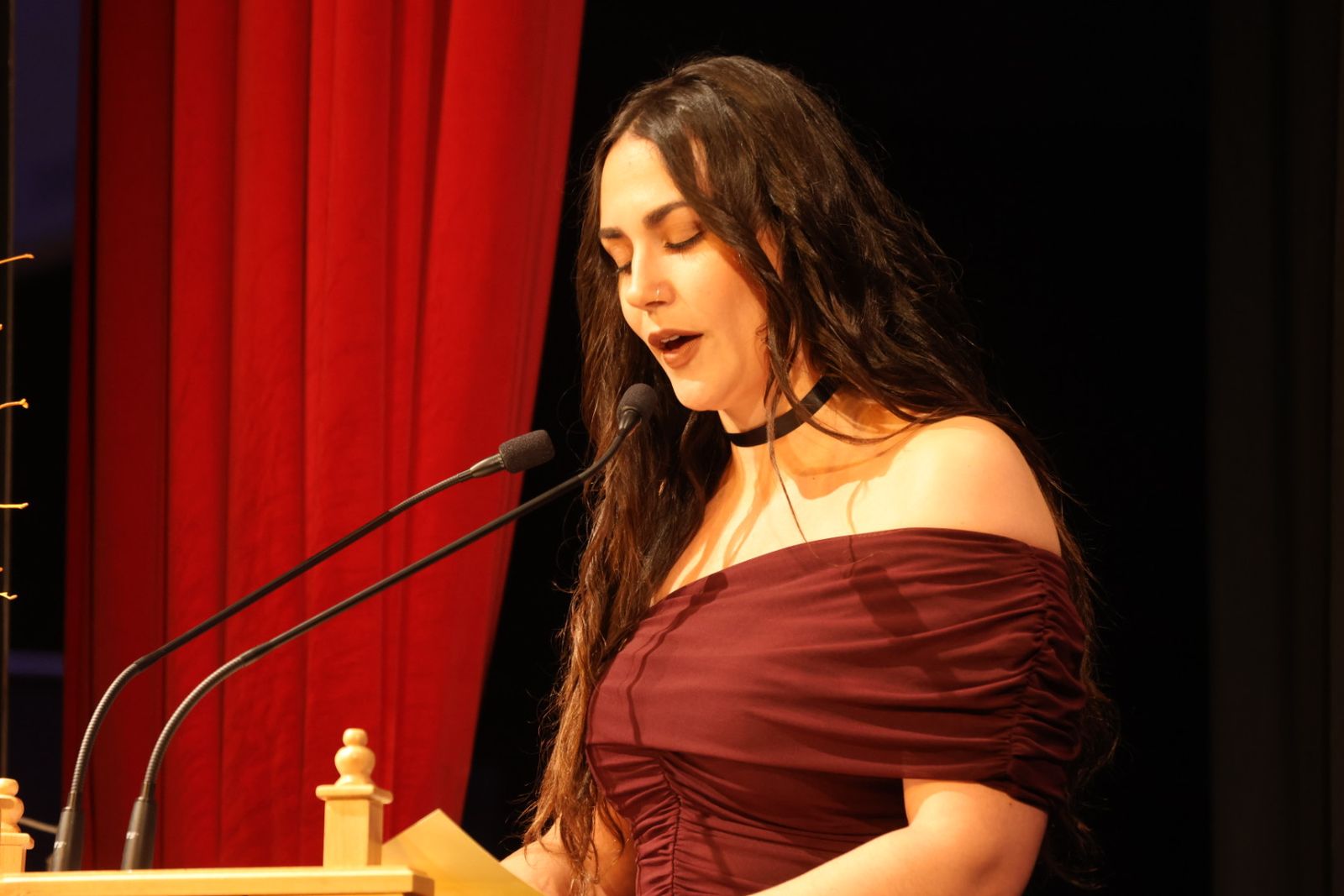 Pregón mayor del Carnaval del Toro 2026