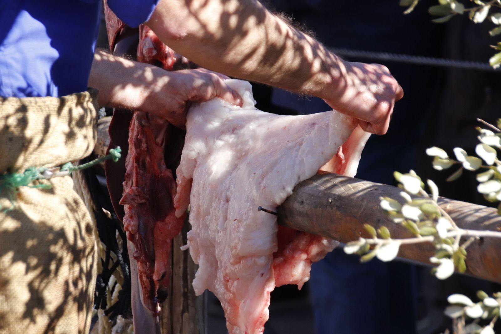 20230204132424-mg-5046