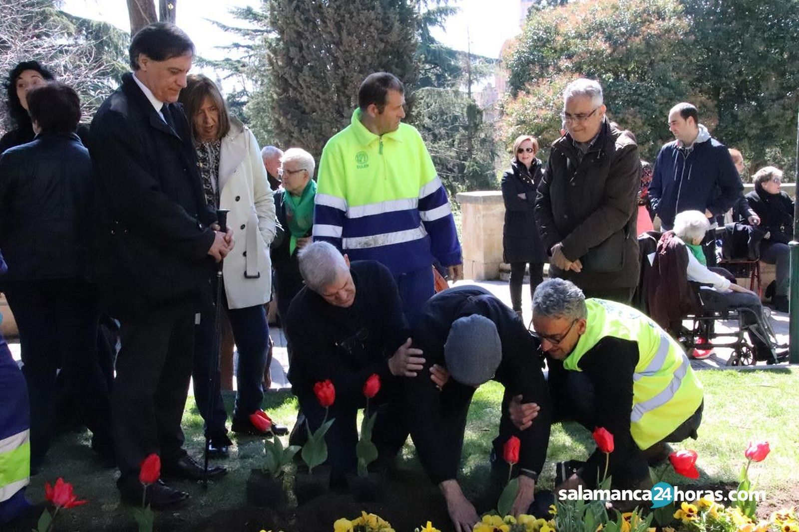 Plantación de tulipanes por el día mundial del parkinson (53)
