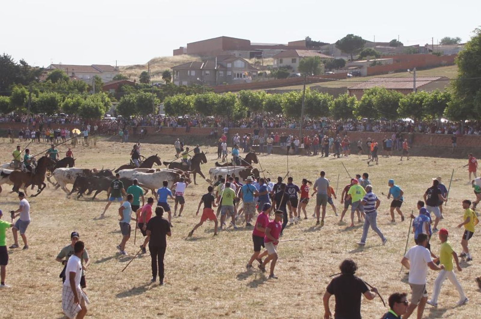 espantes-de-fuentesauco-22