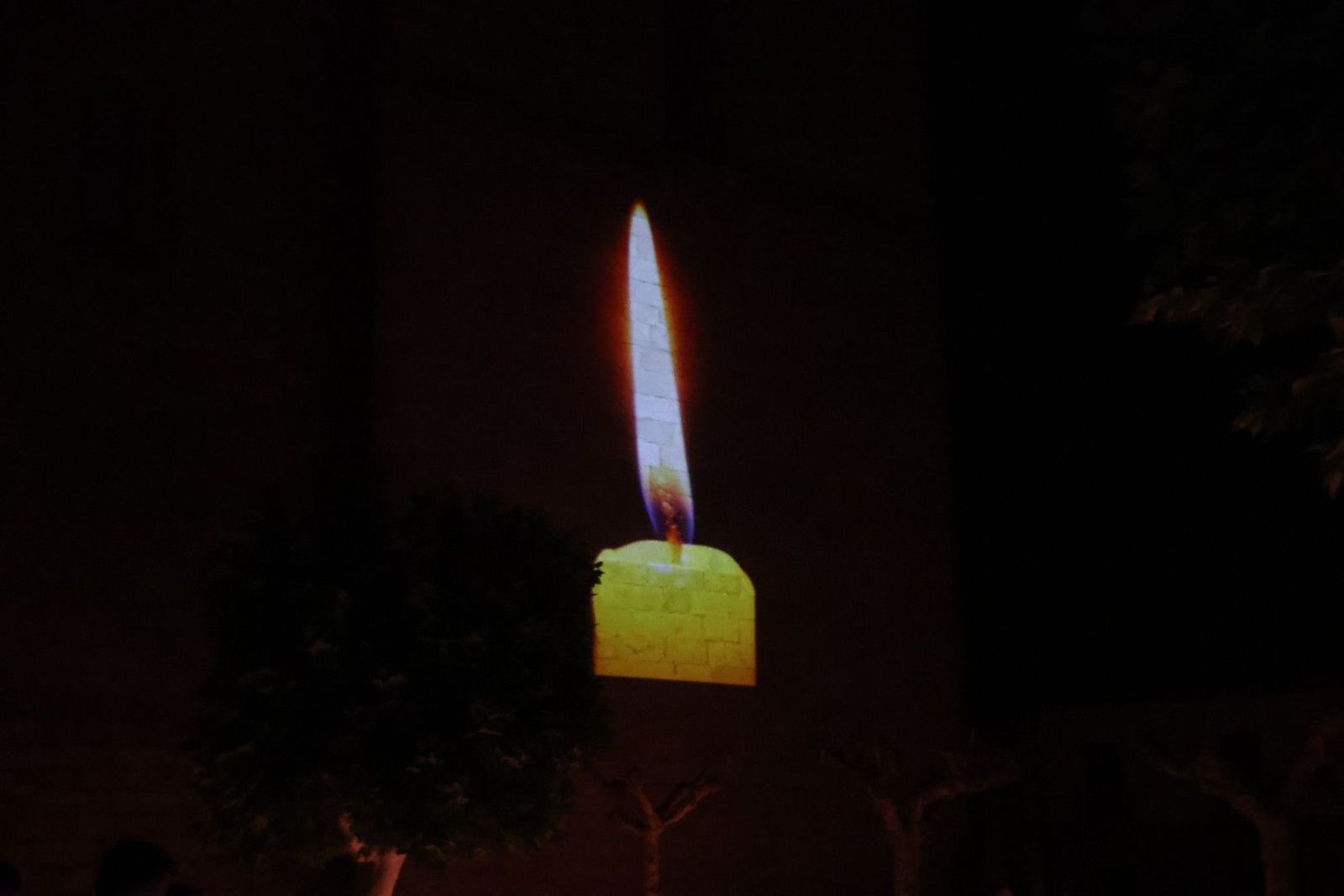 20240810222033-img-2828