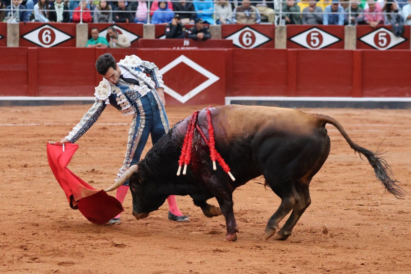 20230916190853-img-5671