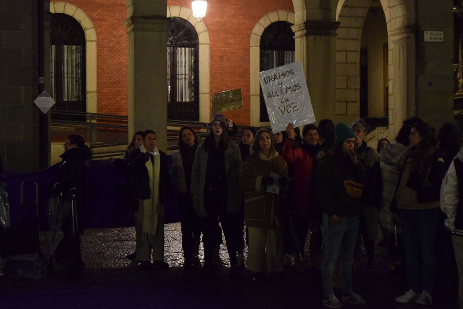 manifestacion-por-el-8m-en-zamora-33