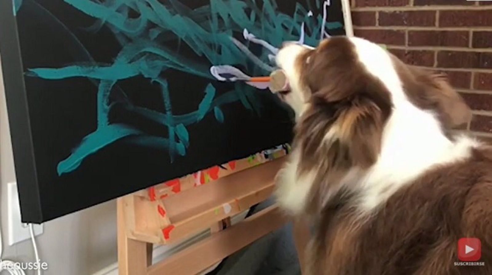 Un perro pintando cuadros. FOTO EP