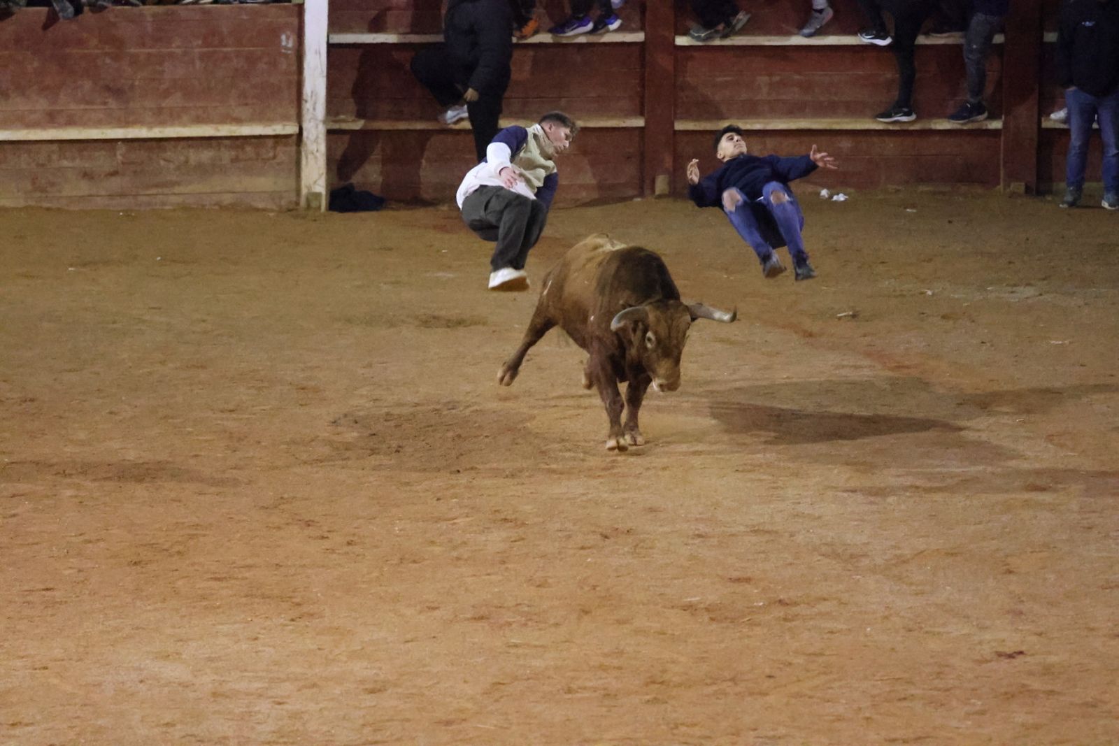 Capea de Sábado tarde en el Carnaval del Toro de Ciudad Rodrigo