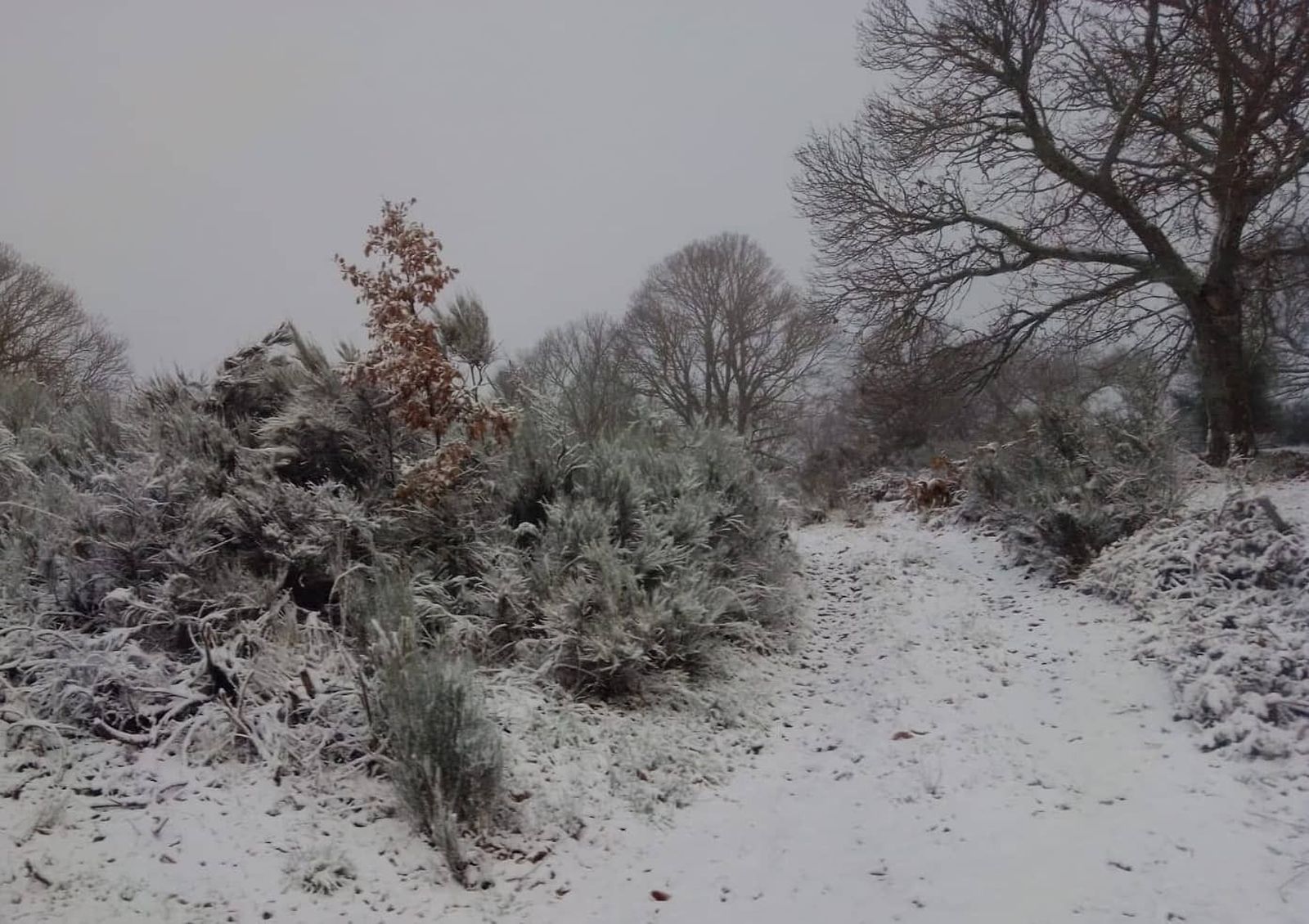 WhatsApp Image 2020 12 04 at 11.39.09(1)