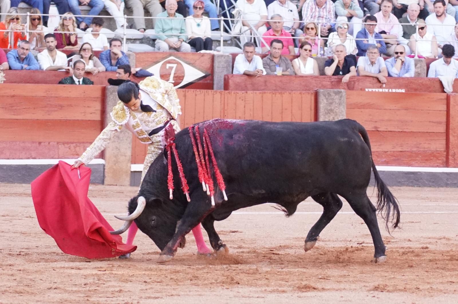 Presencia salmantina por partida doble en la primera corrida de la feria: Damián Castaño e Ismael Martín junto al mexicano Diego San Román