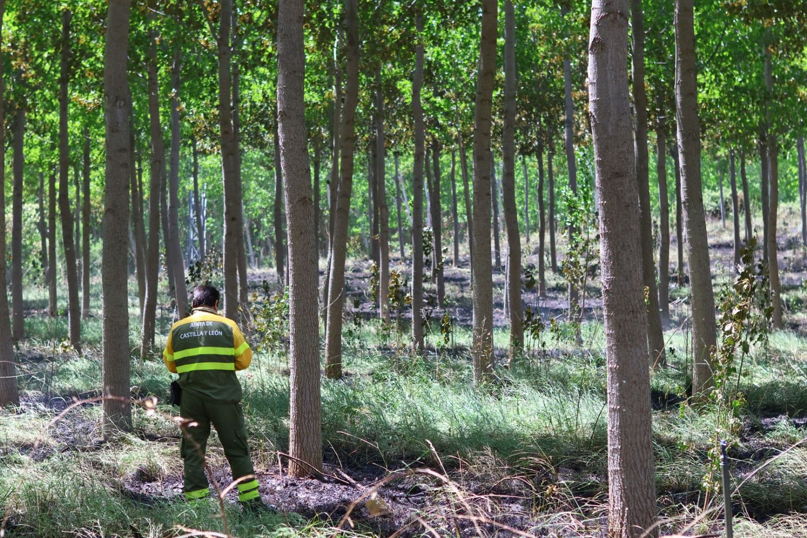 Incendio en Valverdón
