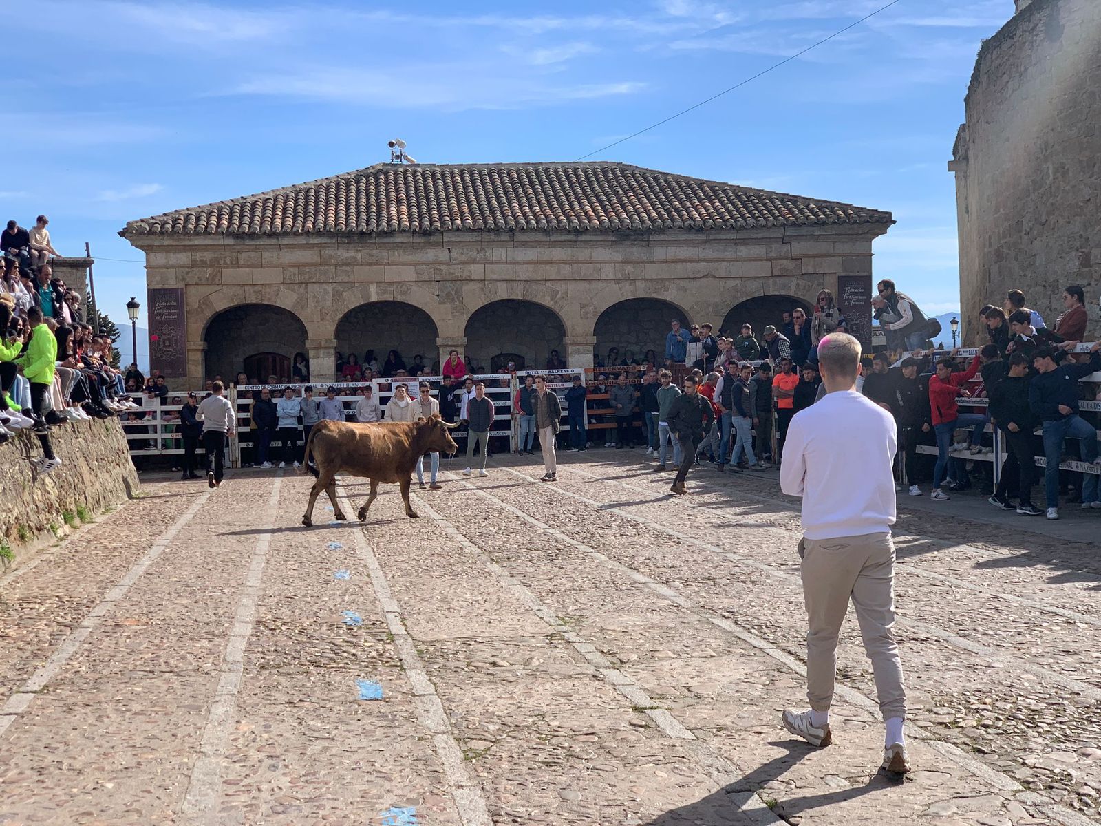 ambiente-con-la-suelta-de-vaquillas-en-el-domingo-de-pinata-en-ciudad-rodrigo-8