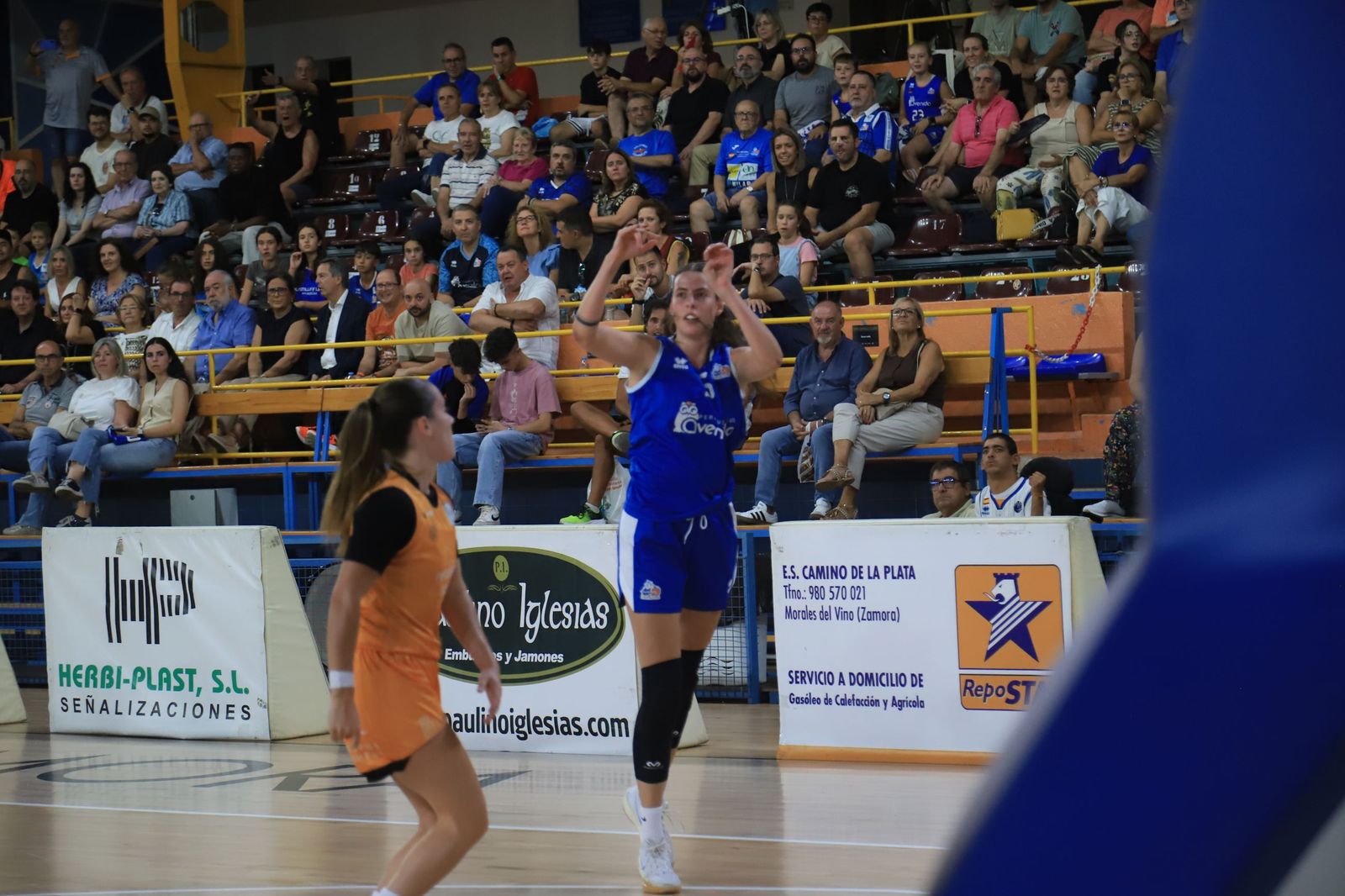 Copa Baloncesto Castilla y León: Zamarat-Avenida