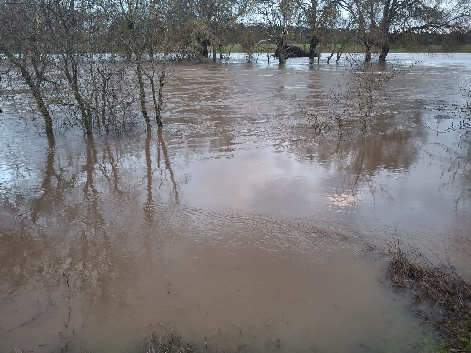 Río Huebra desbordado a su paso por Pelarrodríguez. Foto de archivo