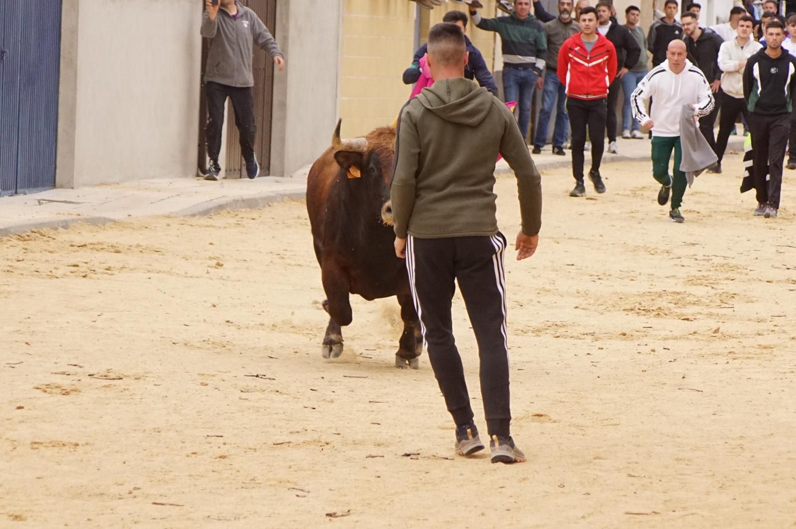 Villoria, toro del Voto
