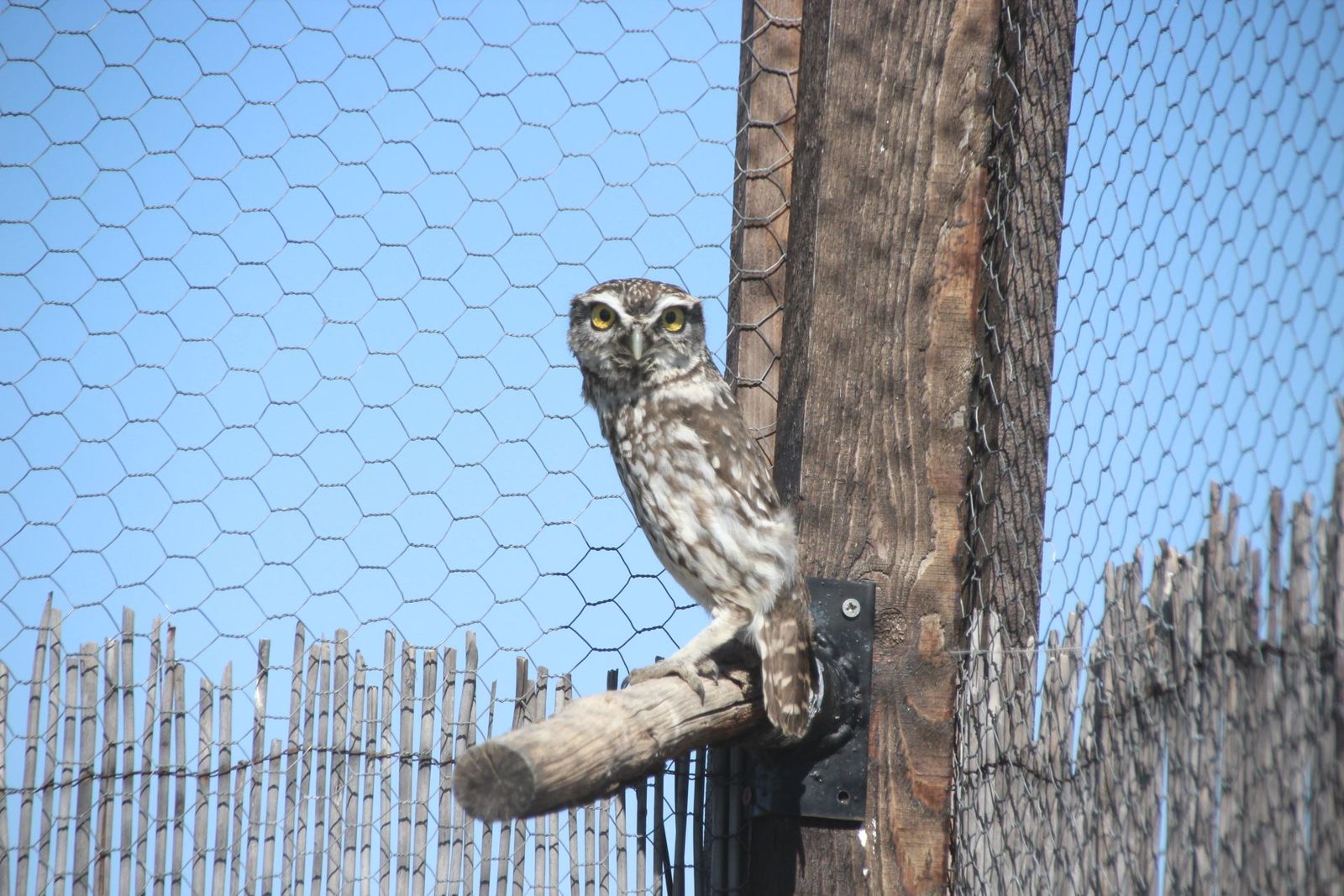 20230304153027-img-1695