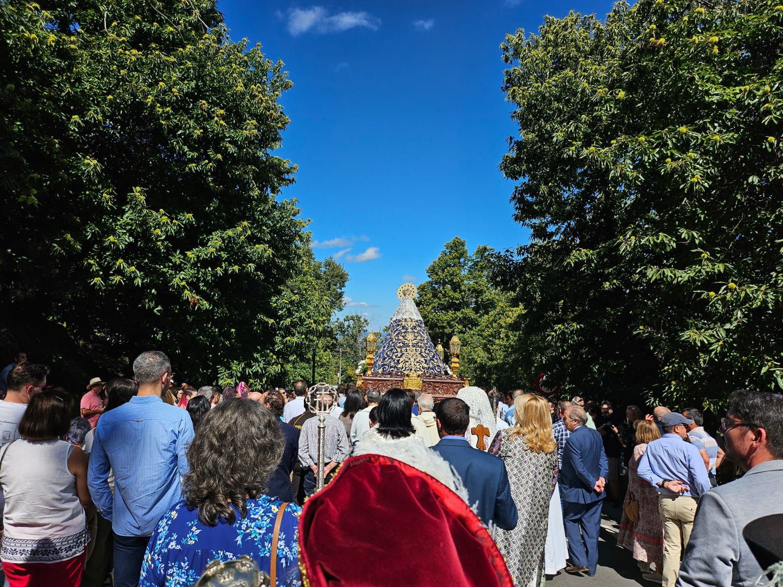 whatsapp-image-2024-09-08-at-15-09-25