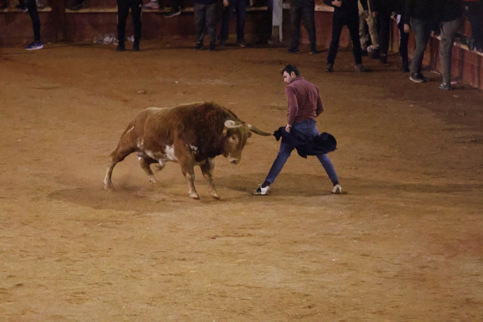 Capea de Sábado tarde en el Carnaval del Toro de Ciudad Rodrigo