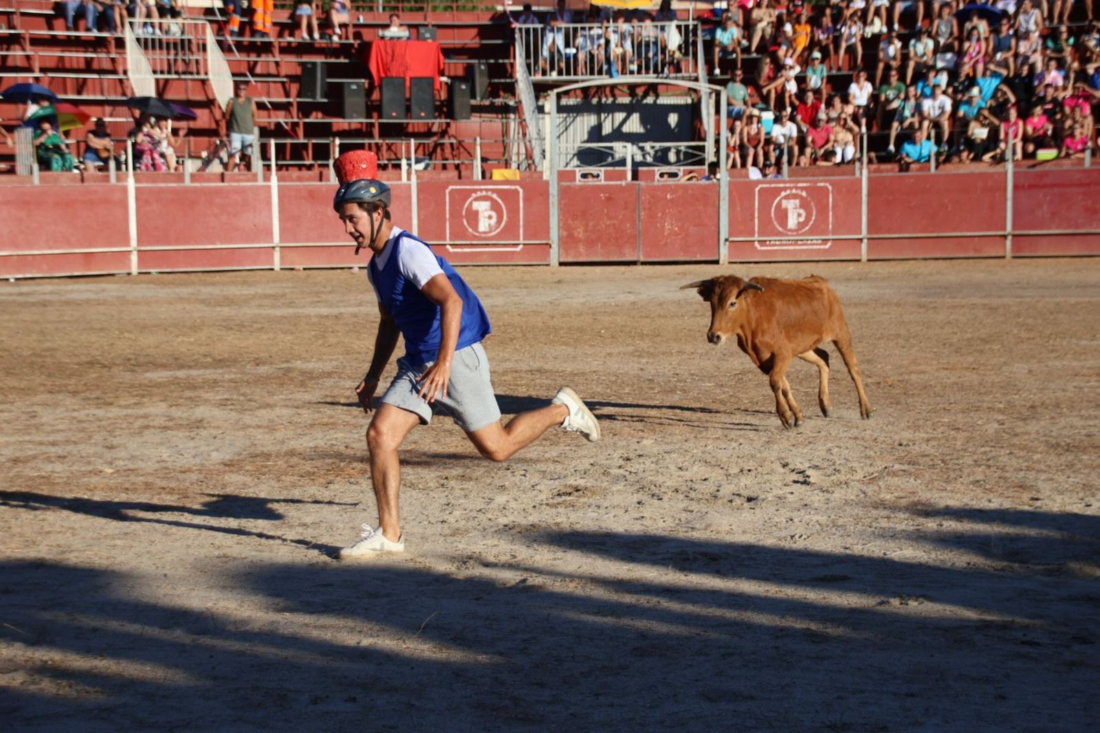 20240816185630-img-3990