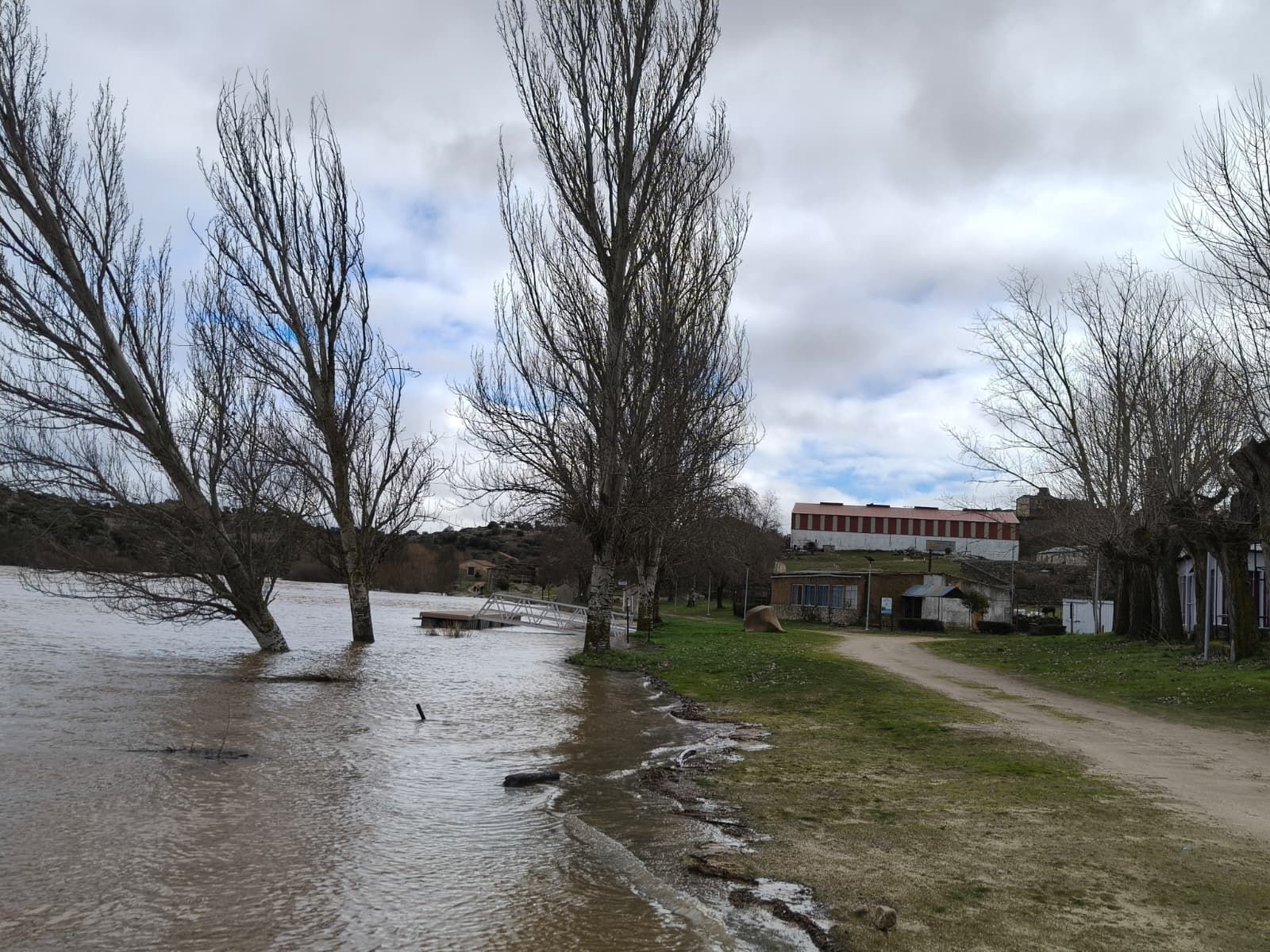 El Tormes desbordado en Ledesma  (5).jpeg